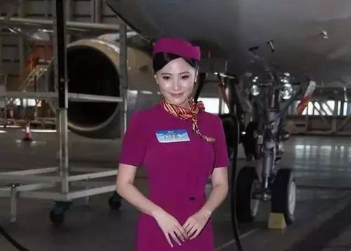 冲上云霄2空姐演员表_冲上云霄2空姐演员表大全