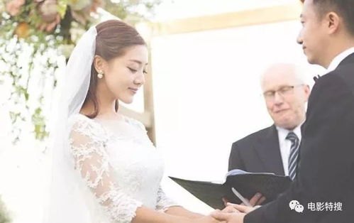 冷婚，揭秘婚姻背后的真相，免费全文下载带你走进婚姻的深层